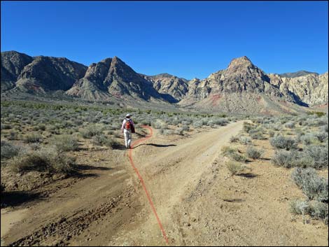 Cottonwood Valley Springs Loop Trail