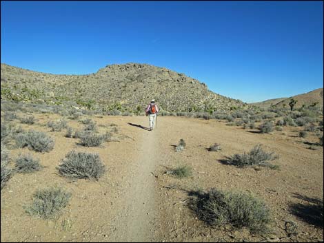 Cottonwood Valley Springs Loop Trail