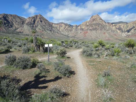 Two Springs Loop Trail