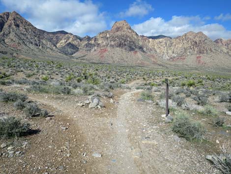 Two Springs Loop Trail