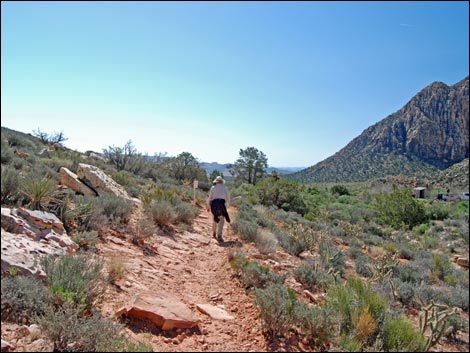 White Rock Loop Trail