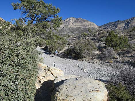 White Rock Loop Trail