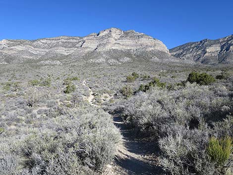 White Rock Loop Trail