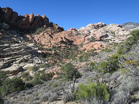 White Rock Loop Trail