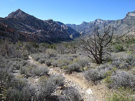 White Rock Loop Trail