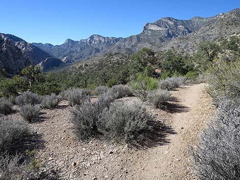 White Rock Loop Trail