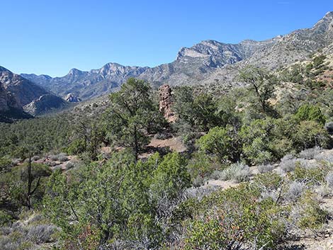 White Rock Loop Trail