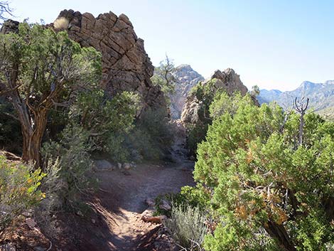 White Rock Loop Trail