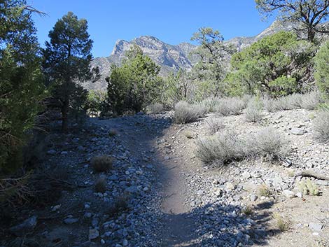 White Rock Loop Trail