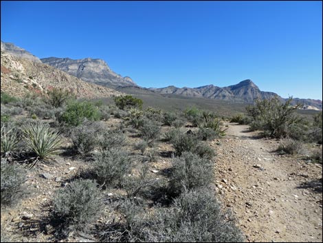 White Rock Loop Trail