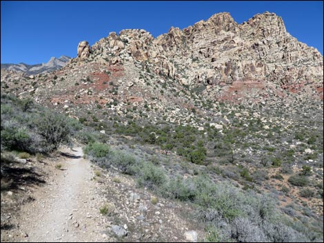 White Rock Loop Trail