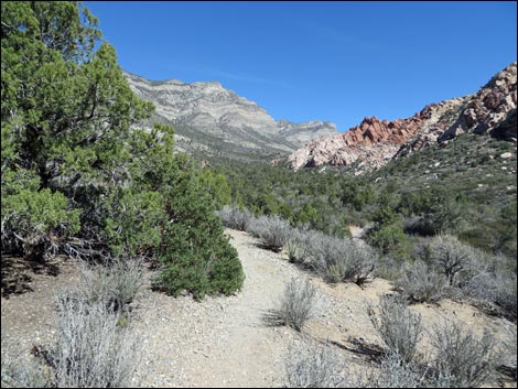 White Rock Loop Trail