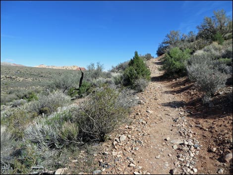 Great Circle Trail