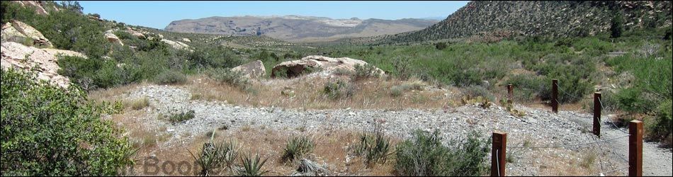 Willow Springs Loop Trail