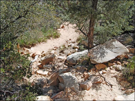 Escarpment Trail