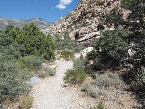 Willow Springs Loop Trail