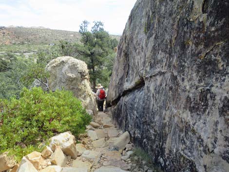 Willow Springs Loop