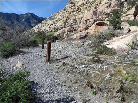 Willow Springs Loop Trail