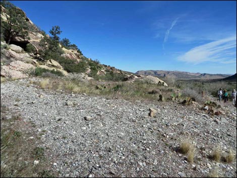 Willow Springs Loop Trail