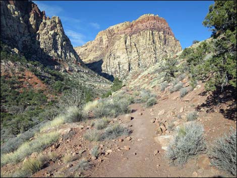 Wilson's Pimple Peak Trail