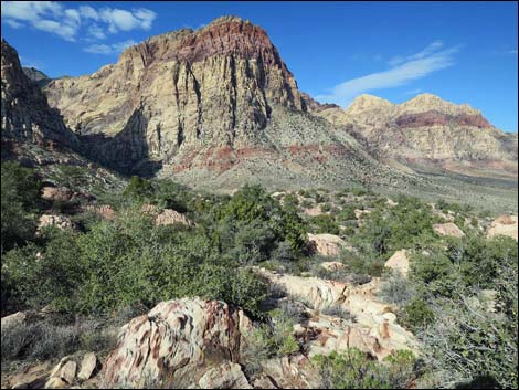 Wilson's Pimple Peak Trail