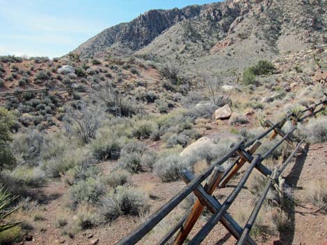 Wooden Fence Spring Trail