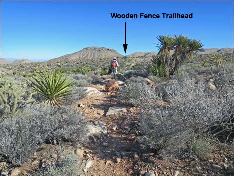 Wooden Fence Spring