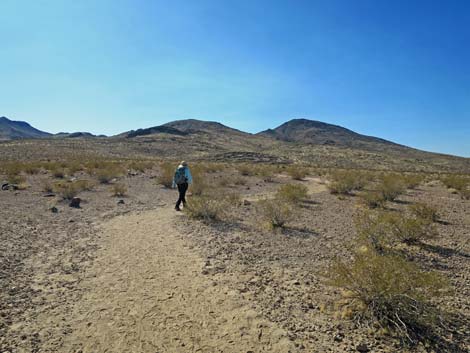 Petroglyph Canyon Trail