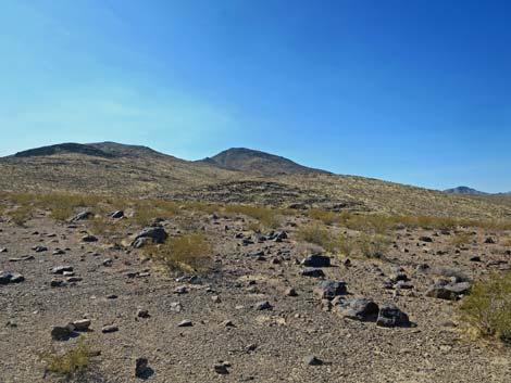 Petroglyph Canyon Trail