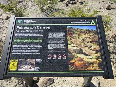 Petroglyph Canyon Trail