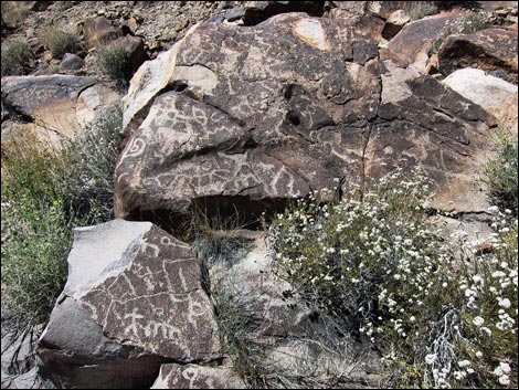 Sloan Canyon BLM 100 Trail