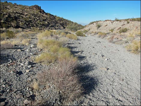 Sloan Canyon BLM 100 Trail