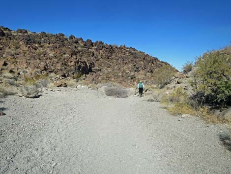 Petroglyph Trail