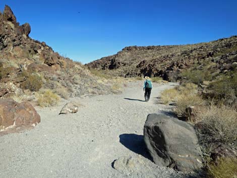 Petroglyph Trail