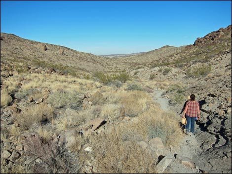 BLM 200 Trail