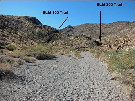 BLM 200 Trail