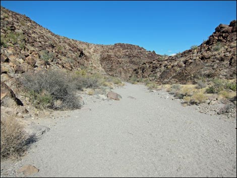 BLM 200 Trail