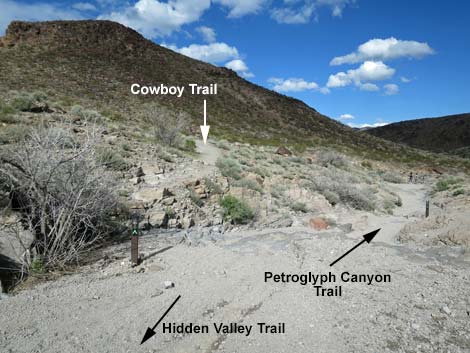 Cowboy Trail