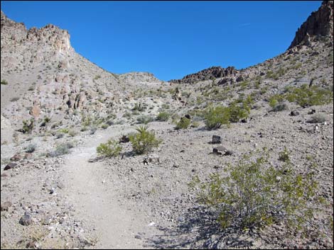 Hidden Valley Trail