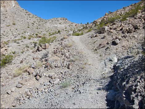 Hidden Valley Trail