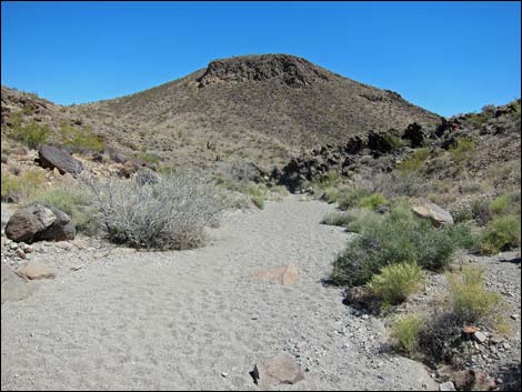 Hidden Valley Trail