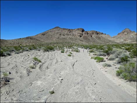 Hidden Valley Trail