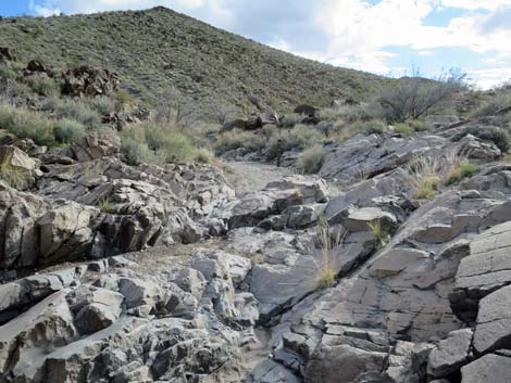 petroglyph trail