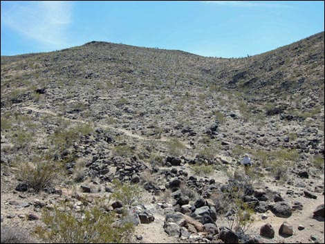 Park Peak Trail