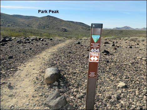 BLM 404 Trail