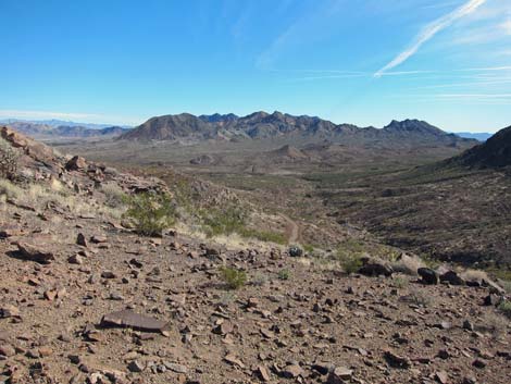 McCullough Hills Trail