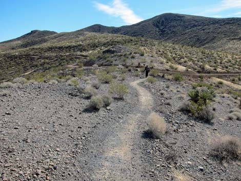 McCullough Hills Trail