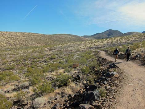 McCullough Hills Trail