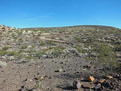 McCullough Hills Trail