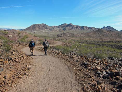 McCullough Hills Trail